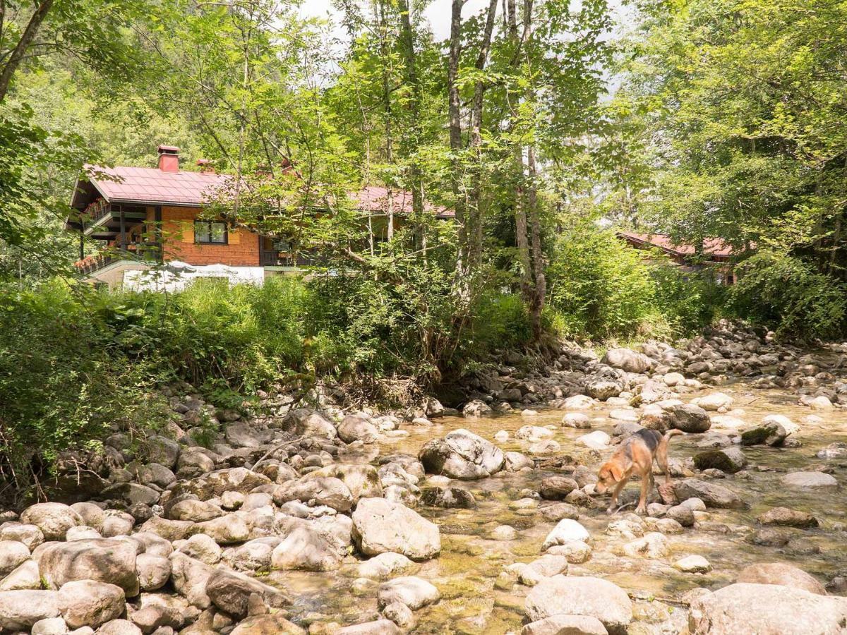 Hôtel Haus Wildbach à Reit im Winkl Extérieur photo